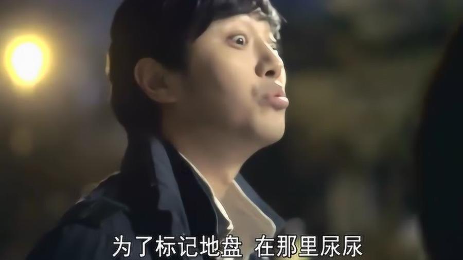 远征军：维京