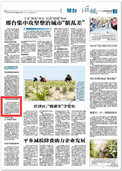 小猫钓鱼正版下载中文版